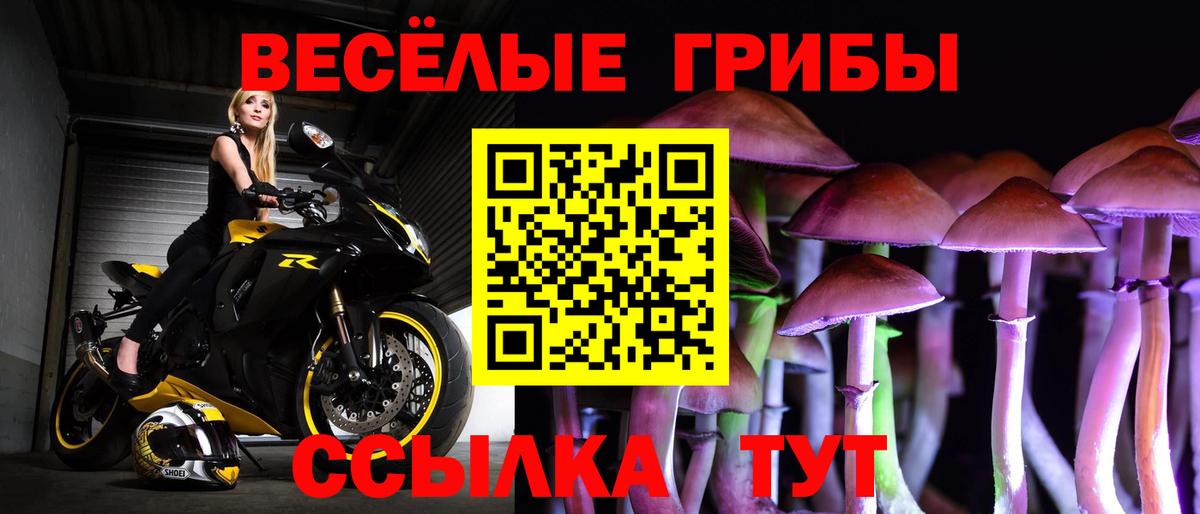 Галлюциногенные грибы мухоморы Златоуст