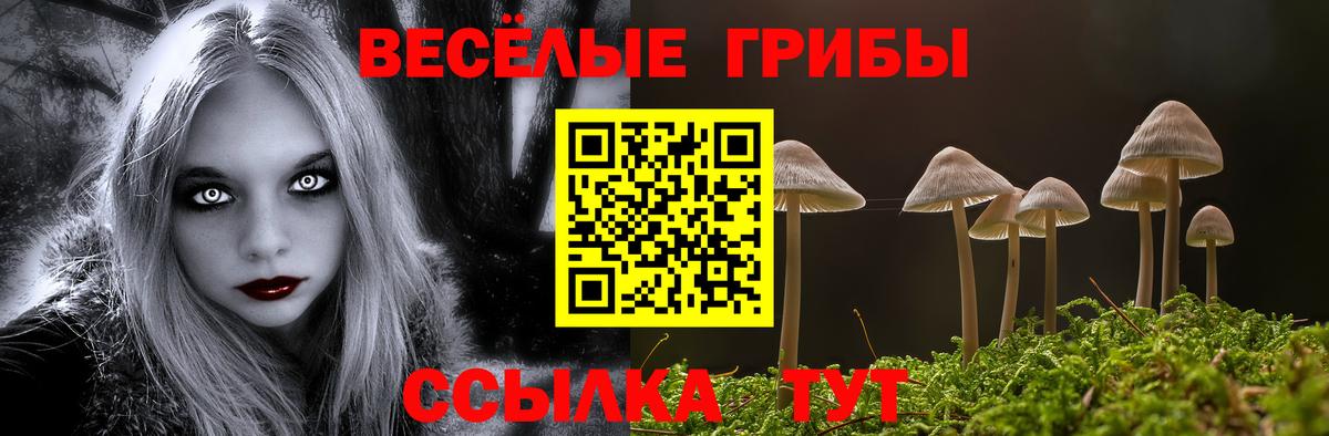 Галлюциногенные грибы Psilocybe  Вход с VPN  Златоуст 